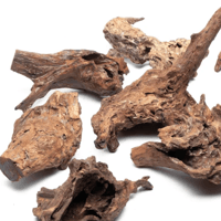 Image 3 of Ocean’s Embrace