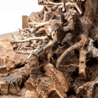 Image 2 of Coastal Bliss