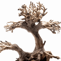 Image 1 of Coastal Bliss