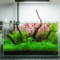 Image 1 of Seaside Mystique