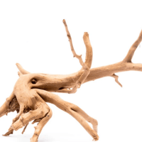 Image 2 of Seaside Mystique