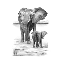 Image 1 of "Tender Guidance" - African Elephant and Calf Graphite Print