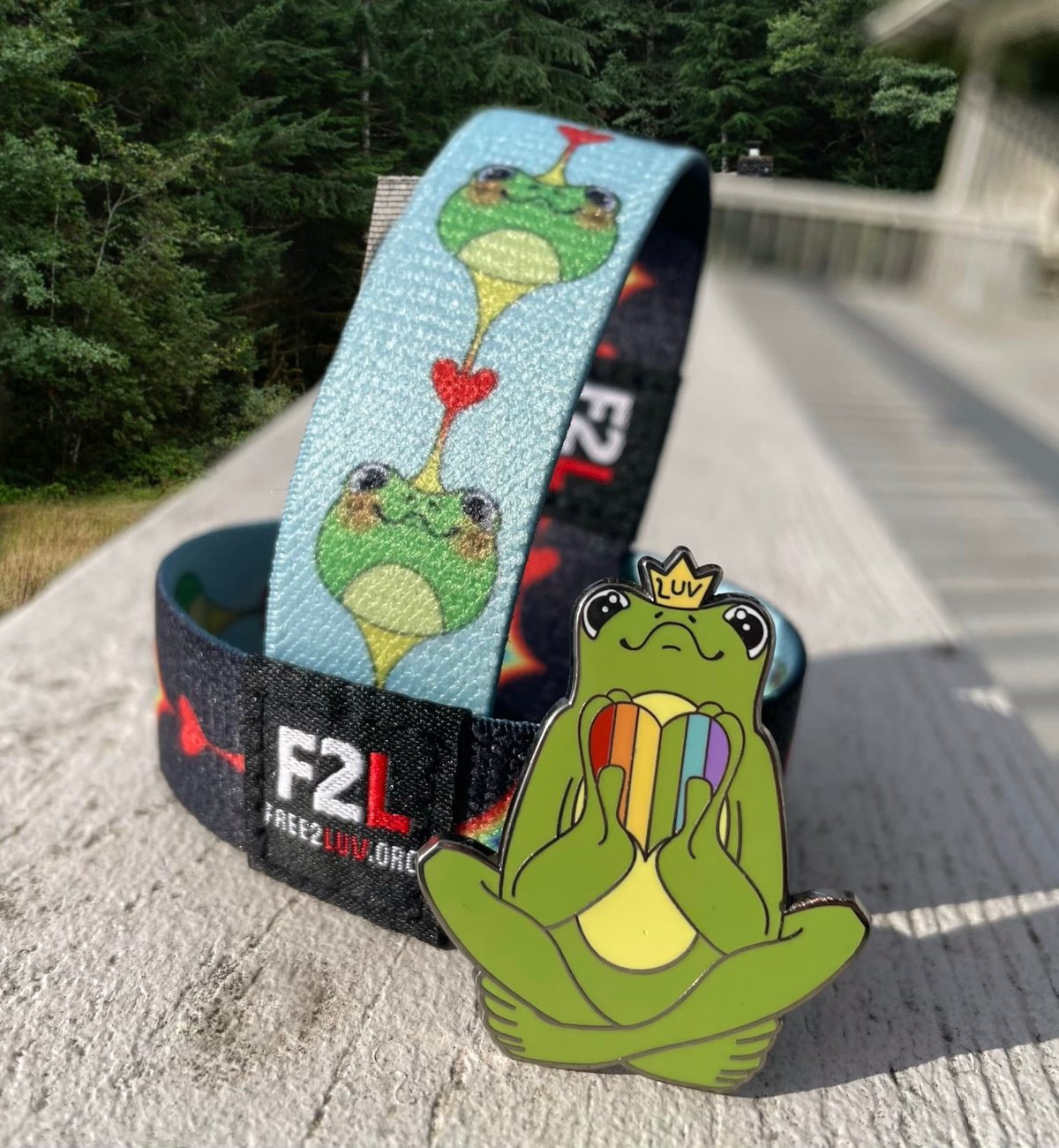 SIR ROG ENAMEL PIN & REVERSIBLE WRISTBAND - NEW!