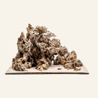 Image 1 of Beach Horizon