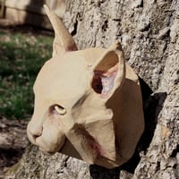 Image 3 of Bobcat Face