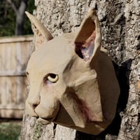 Image 1 of Bobcat Face