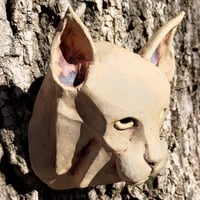 Image 4 of Bobcat Face