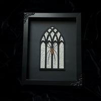 Gothic Arch - Nephila Vitiana Orb Weaver