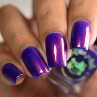 Image 10 of Violet Ultra - Restocking 05/24 at 1pm EDT! 