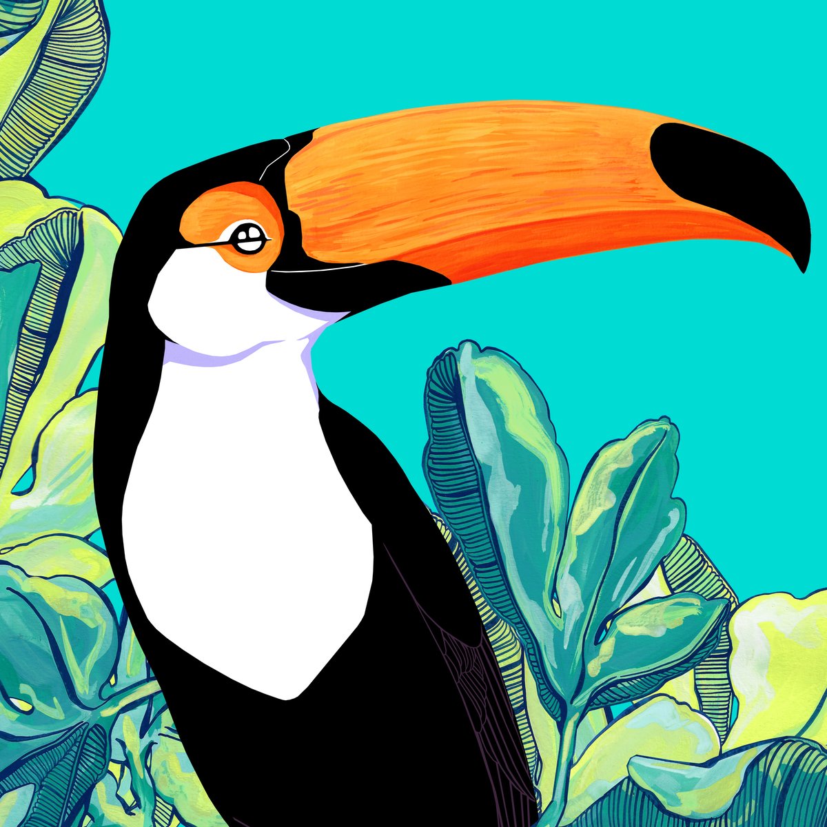 Image of Toucan and Fig Tree
