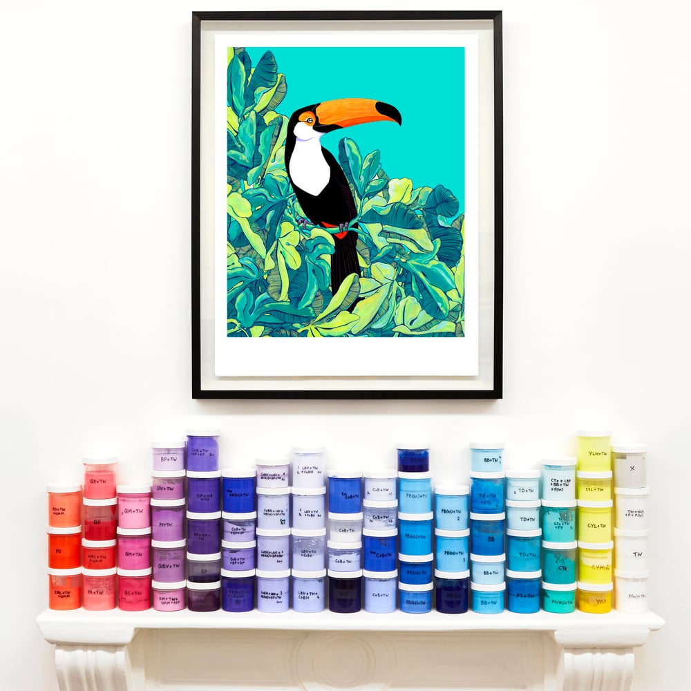 Image of Toucan and Fig Tree