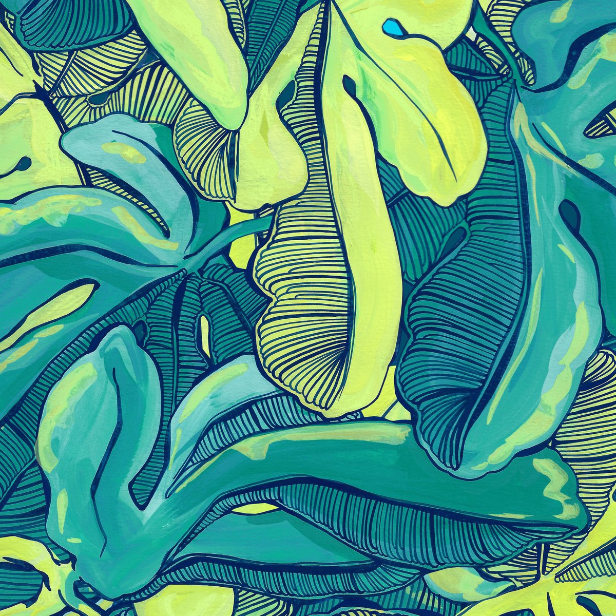 Image of Toucan and Fig Tree