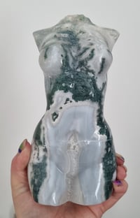 Image 1 of BODY PARTS 