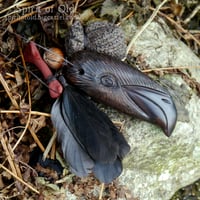 Image 4 of Irish Raven Dream Amulet (DAM660)