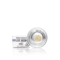 Punch Extracts - Live Rosin T1