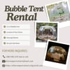Bubble Tent Rental