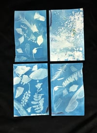 Wild Cyanotypes Workshop - DATES TBD