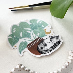 Image of Sleepy Monstera Kitty, vinyl sticker