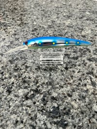 Blue Shad Bandit