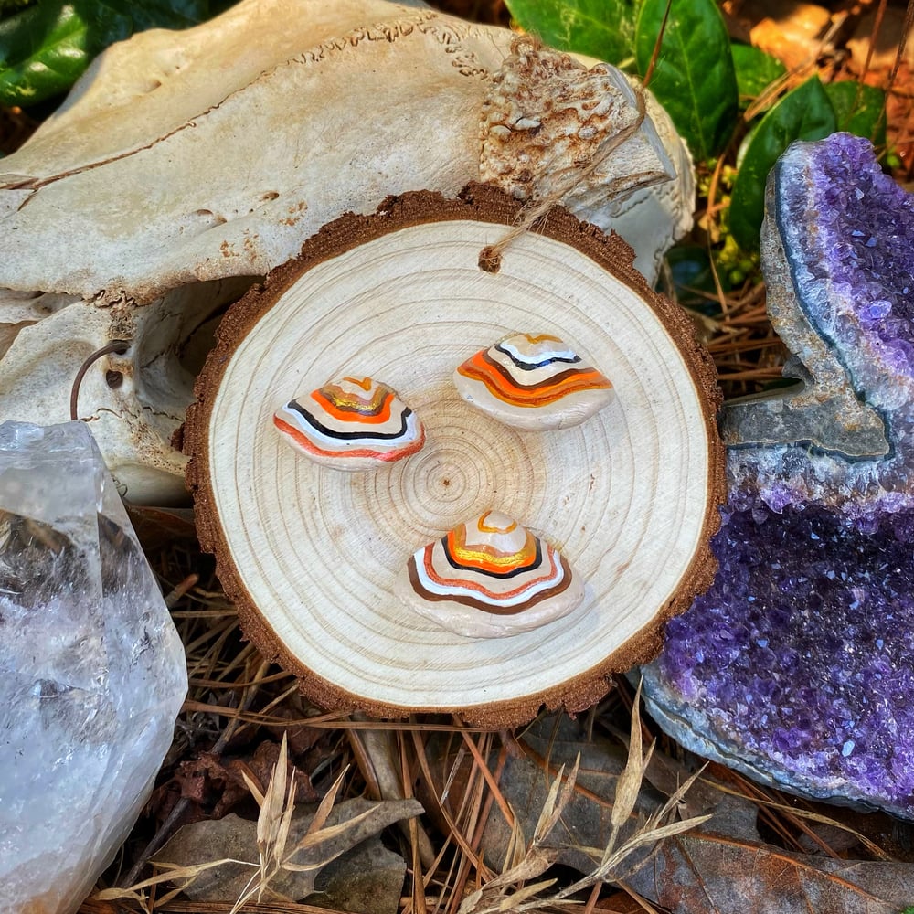 Image of Mini Turkey Tail Mushroom Decor 