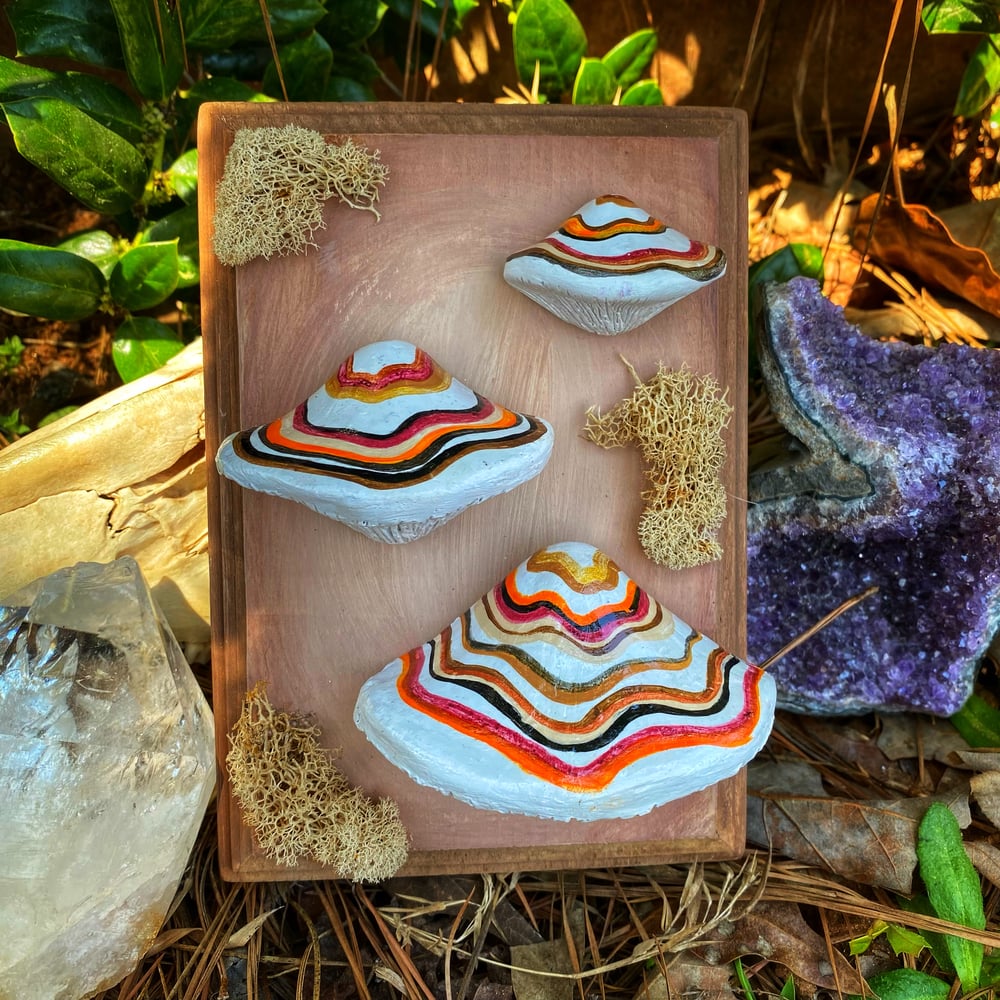 Image of Turkey Tail Inspired Mushrooms 