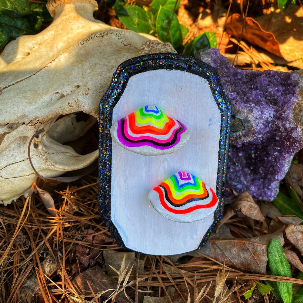 Image of Small UV Reactive Turkey Tail Mushrooms 