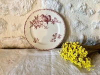 Image 1 of Assiette Oiseaux Favori Sarregueumines