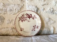 Image 3 of Assiette Oiseaux Favori Sarregueumines
