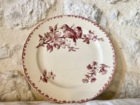 Image 4 of Assiette Oiseaux Favori Sarregueumines