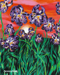 Image 1 of 'Dance of the Bearded Irises' - Acrylic on Canvas Panel, 8x10 Framed