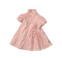 Image 2 of Piper Paisley Day Dress