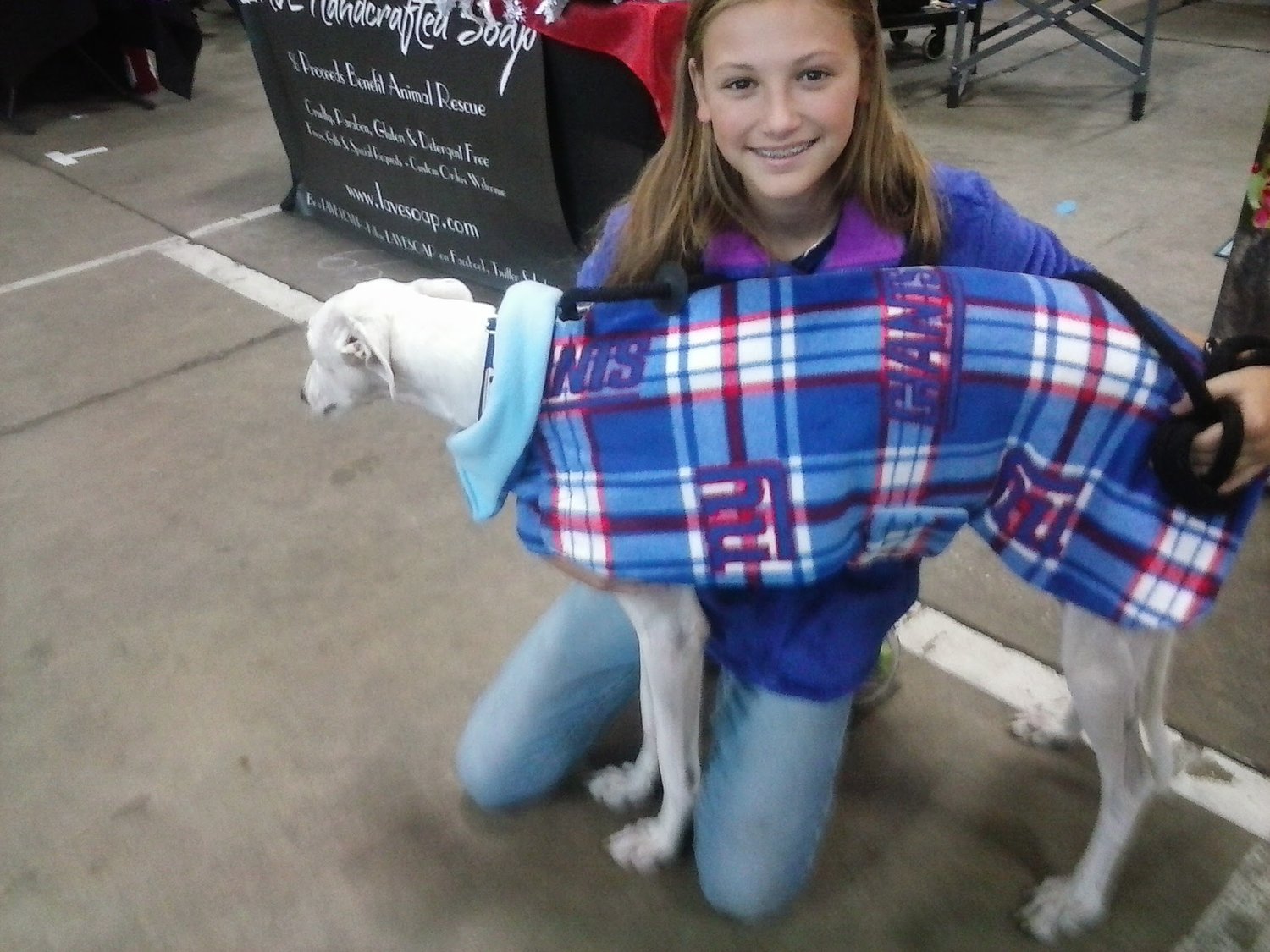 Image of Greyhound fall coats