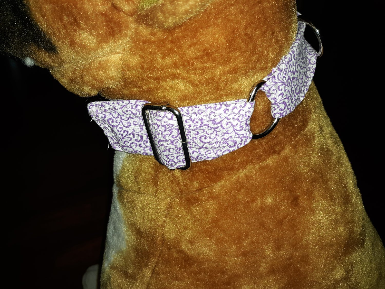 Image of Martingale collars and  Adjustable   Leashes