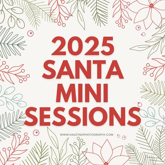 Image of 2025 Santa Mini Session (deposit only)