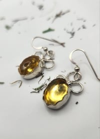 Image 1 of Amber blossom earrings