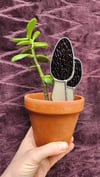 Morel House Plant Stake