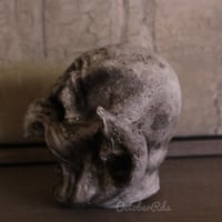 Image 5 of *Pre-order* Nosferatu Lantern 
