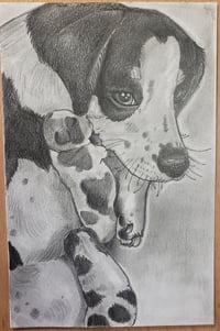 Image 1 of Pet Portrait Drawing
