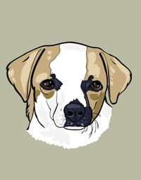Image 3 of Pet Head Portrait (Digital Download Only)