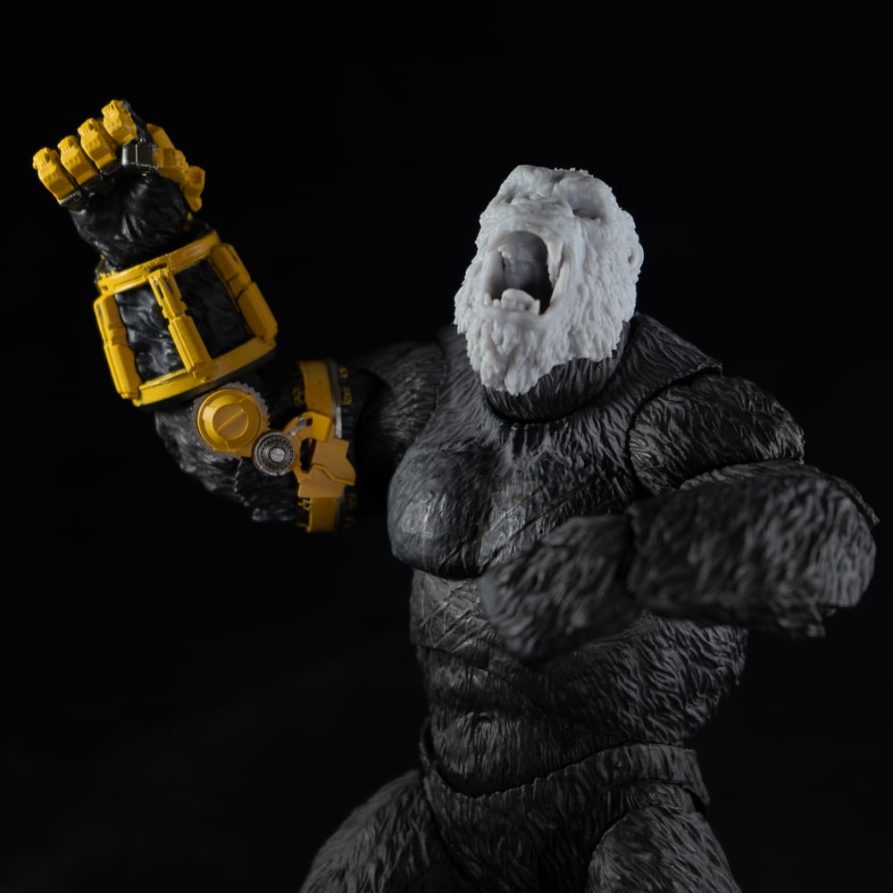 Ape King 2024 (Wave 1)