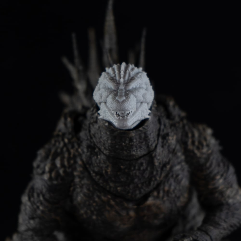 Negative Lizard