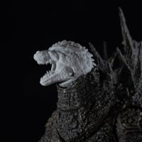 Image 3 of Negative Lizard