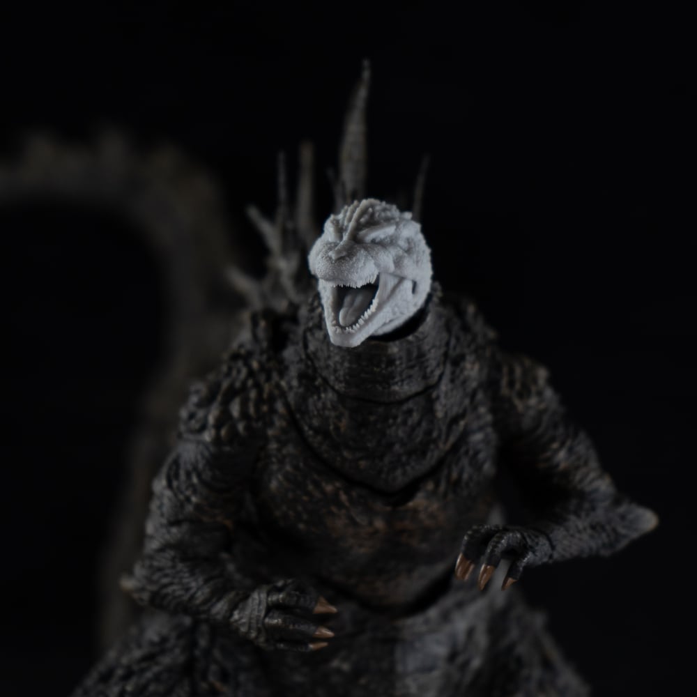 Negative Lizard