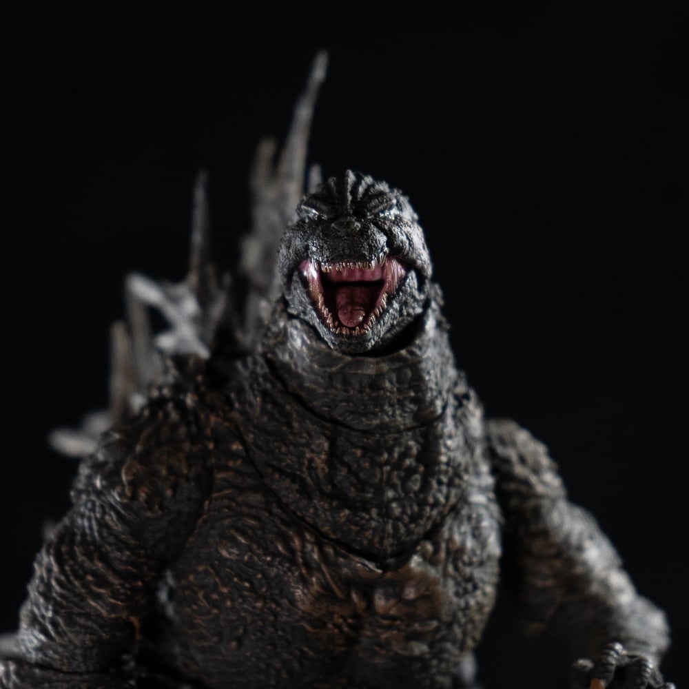 Negative Lizard - PAINTED Ver.