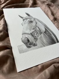 Image 1 of Klaus ~ Fine Art Print 