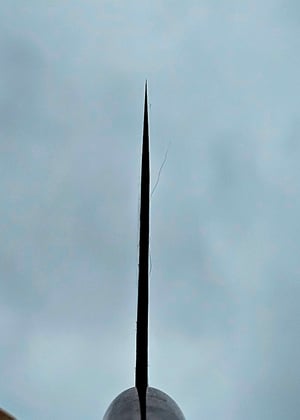 Image of 190 Cleaver