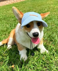 Image 1 of Baby Blue Corduroy Pet Hat