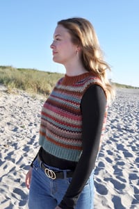 Image 1 of Zigzag vest (DK + US)
