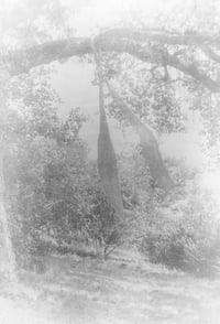 Martin Bogren - A Summer of a Thousand Years 03