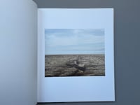 Image 2 of Lago by Ron Jude (2015)